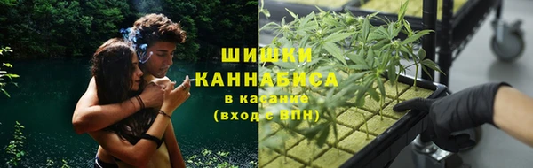 кокс Аркадак