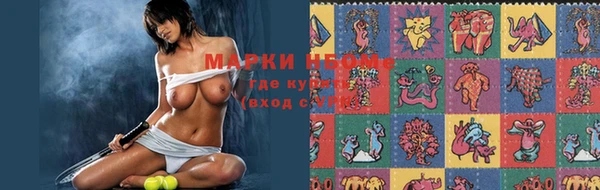 кокс Аркадак
